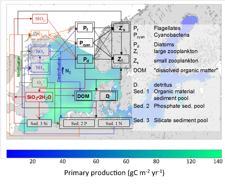 Ecosmo Model Graphic
